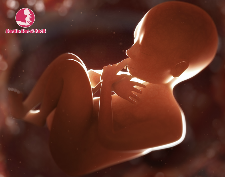 Kenapa Bayi Bisa Keracunan Air Ketuban? Penyebab dan Cara Mengatasinya